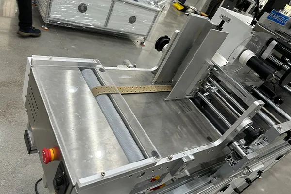 Belt feeding system